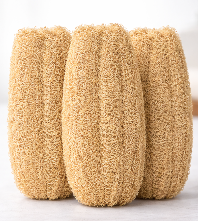Bundle of 3 Loofahs